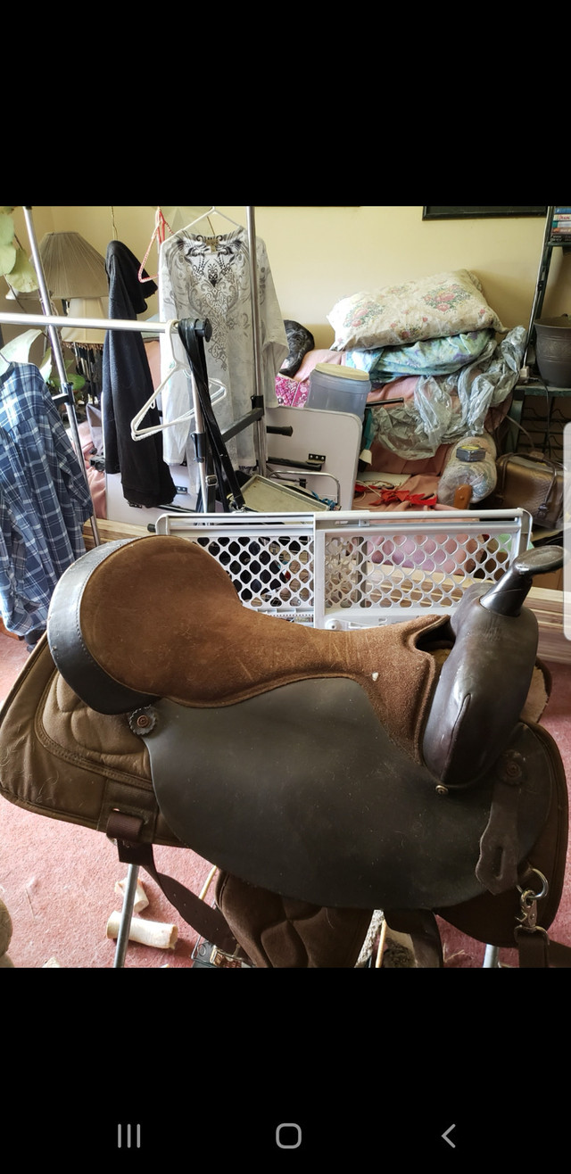 Big Horn 19” Custom Western Saddle  in Equestrian & Livestock Accessories in Leamington