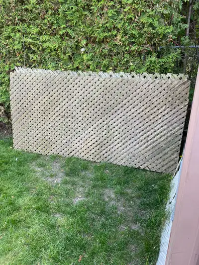 5 sheets of older lattice FREE, View more