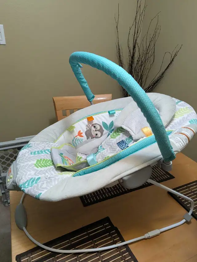 baby bouncer in Playpens, Swings & Saucers in Oshawa / Durham Region - Image 3