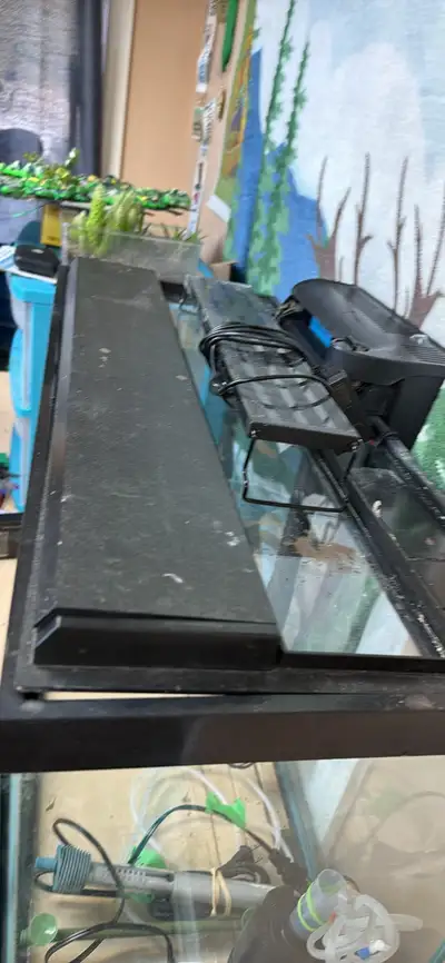 Missing lid!! , View more