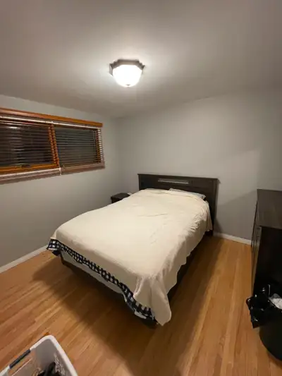 room to rent