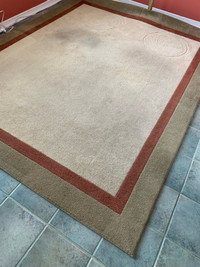 Area rug. Relatively new but needs cleaning. 