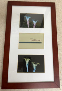 Picture Frame (4x6 photos)