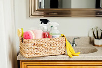  Experienced Cleaning Services for 25 an hour!