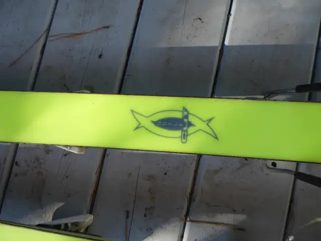 ROSSIGNOL DUALTEC ENERGY 177CM Skis in Ski in Delta/Surrey/Langley - Image 9