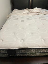 Queen Size bed set with Sealy Mattress (Leons)