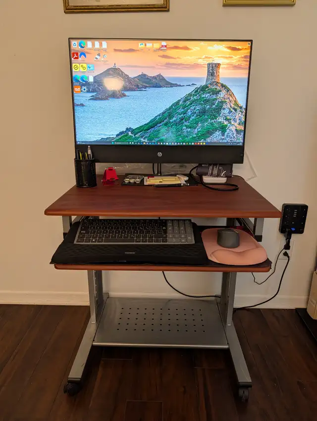 HP All-in-One Computer with Furniture