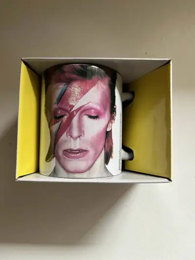 David Bowe Aladdin Sane 11oz Mug, View more