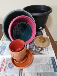Plastic and clay pots...all sizes