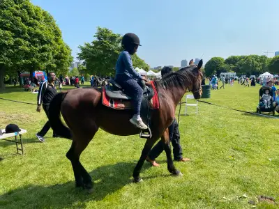 horse riding $25 Canada day special, View more
