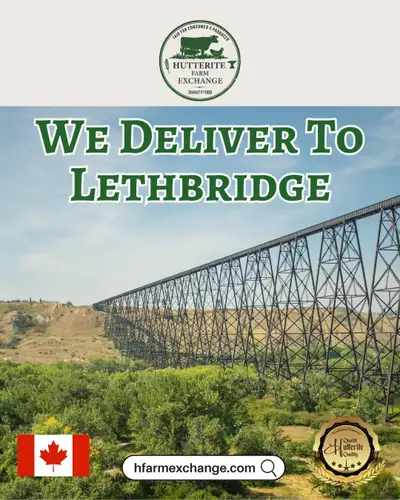 Hutterite Food To Lethbridge, View more