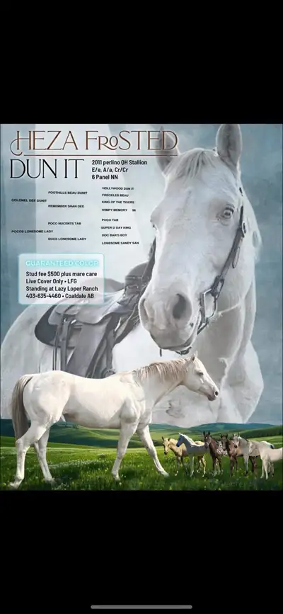 standing for 2026, View more