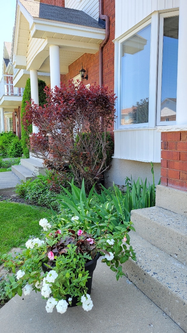 Maison de ville à louer Locations longue durée Drummondville Kijiji