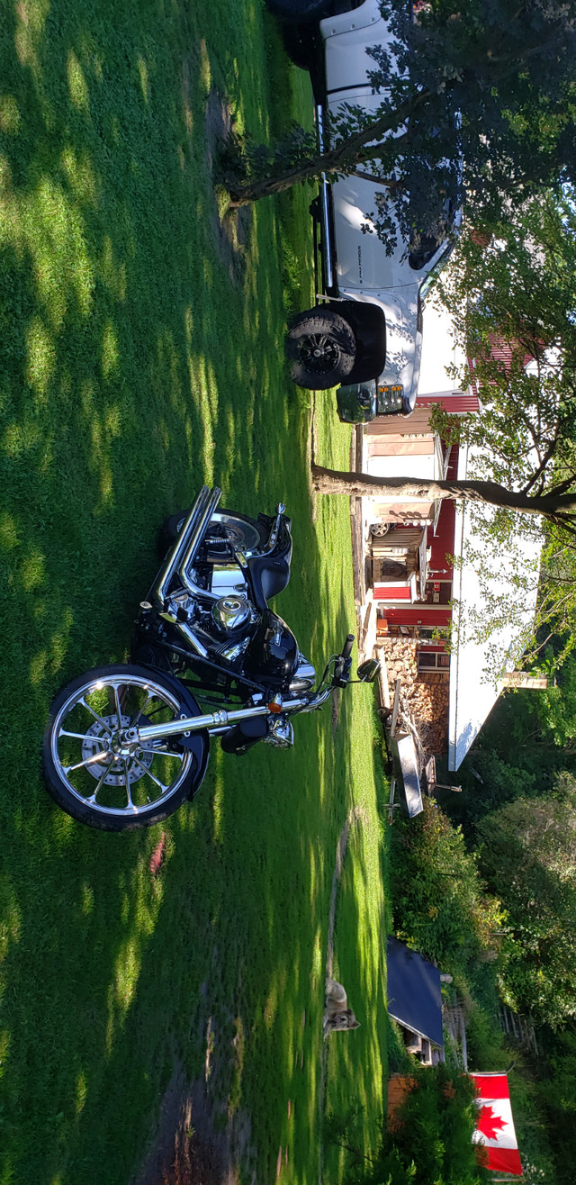 2007 Softail in Cars & Trucks in Grand Bend - Image 2