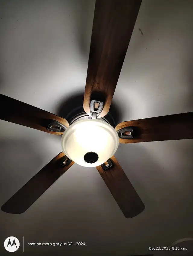 Ceiling Fan in Indoor Lighting & Fans in Brantford - Image 2