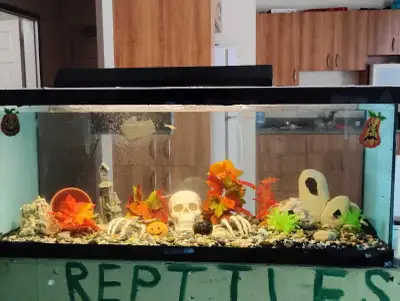 aquarium 65 gallons.  toute equipé, View more