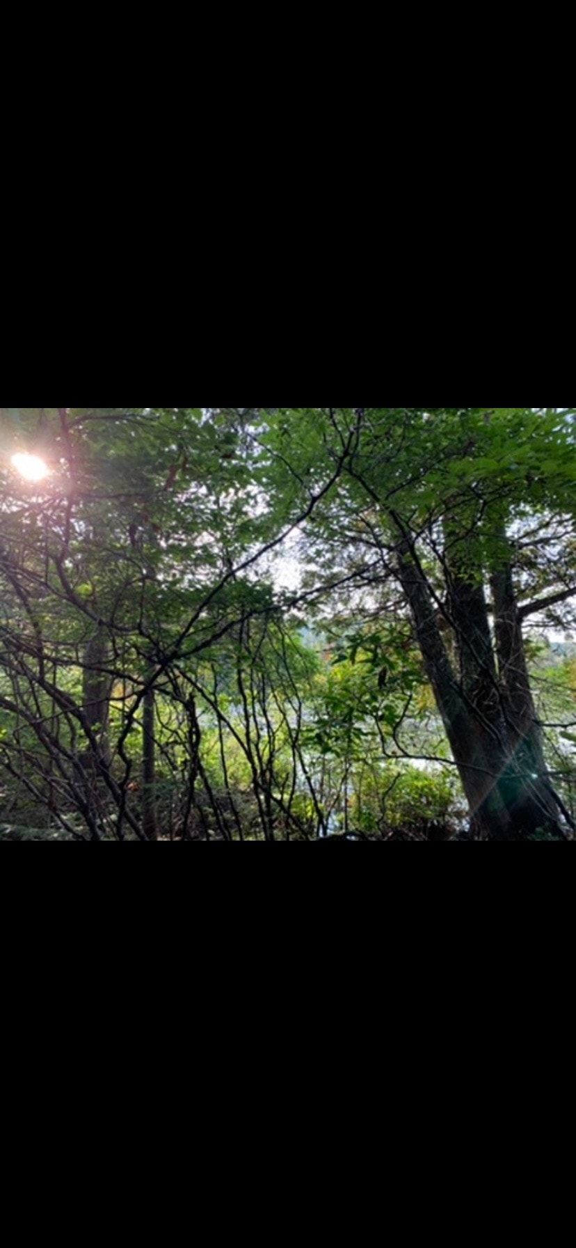 Terrain bord lac Chertsey — photo 2
