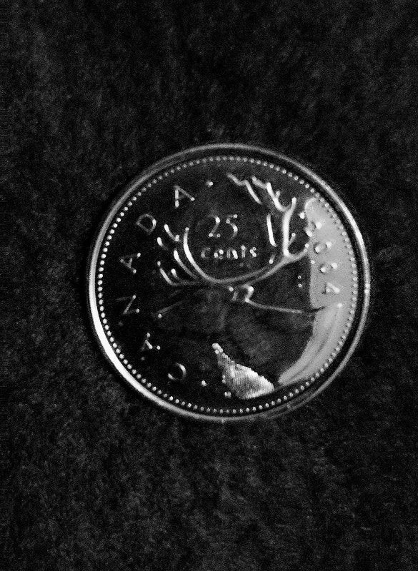 RARE 2004 RC Mint 25 cent Caribou Quarter *NB:- has 3 DIE BREAKS | Arts ...