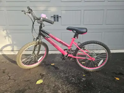 20” Pink Ozark Evolution Trail Bike, View more