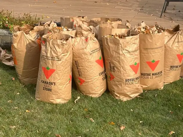 residential leaf removal 