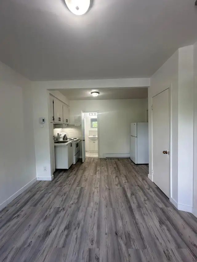 Renovated studio near Joliette Metro63417637614211122