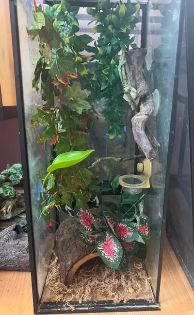 Like New Reptile Enclosure Full Setup, View more