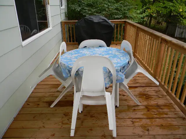 Waterfront Cottage on Manitoulin Island for Rent in Ontario in Canada - Image 8