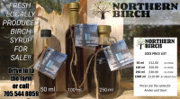 FRESH Northern Ontario Birch Syrup For Sale!