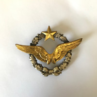 French Air Force Pilot Badge $80
