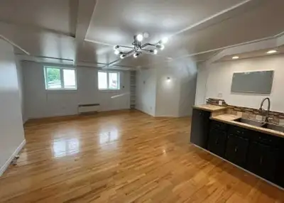 Superbe 3 1/2 très bien situé à Lac-Etchemin, libre pour le 1er juillet. Prix : 820$ / mois. Inclusi...