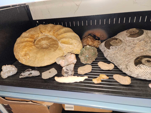looking to sell my rock/fossil/crystal collection  dans Art et objets de collection  à Renfrew