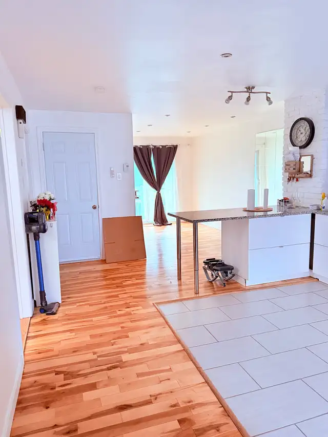 4 1/2 apartment in Hochelaga in the first floor