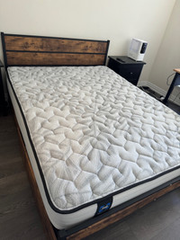 Queen Bed frame and Mattress Sealy Posturepedic Caicos Firm