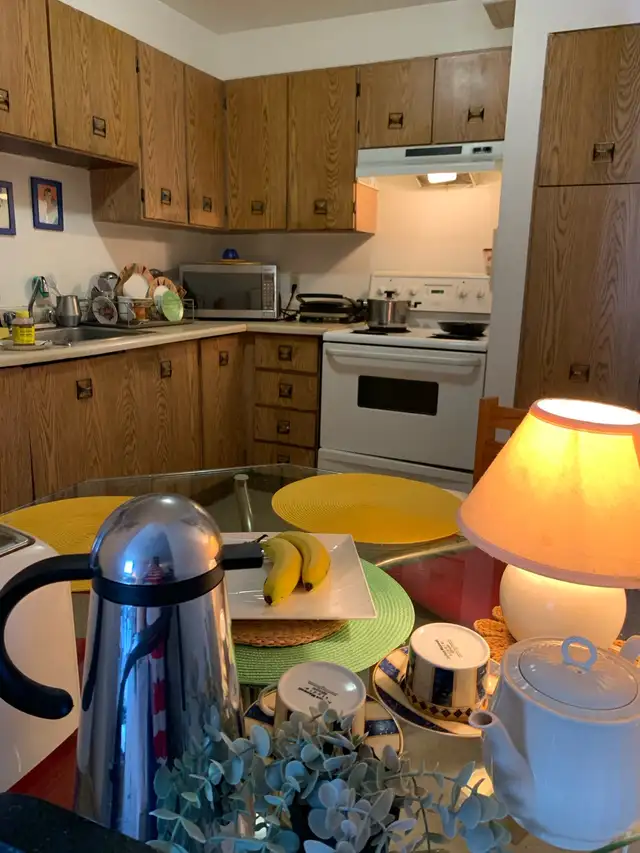 LARGE ROOM FOR RENT CENTRAL OTTAWA63616760428033124