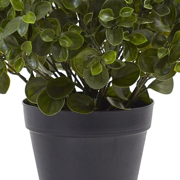 NEW Nearly Natural Peperomia Indoor/Outdoor UV Resistant Plant in Plants, Fertilizer & Soil in City of Toronto