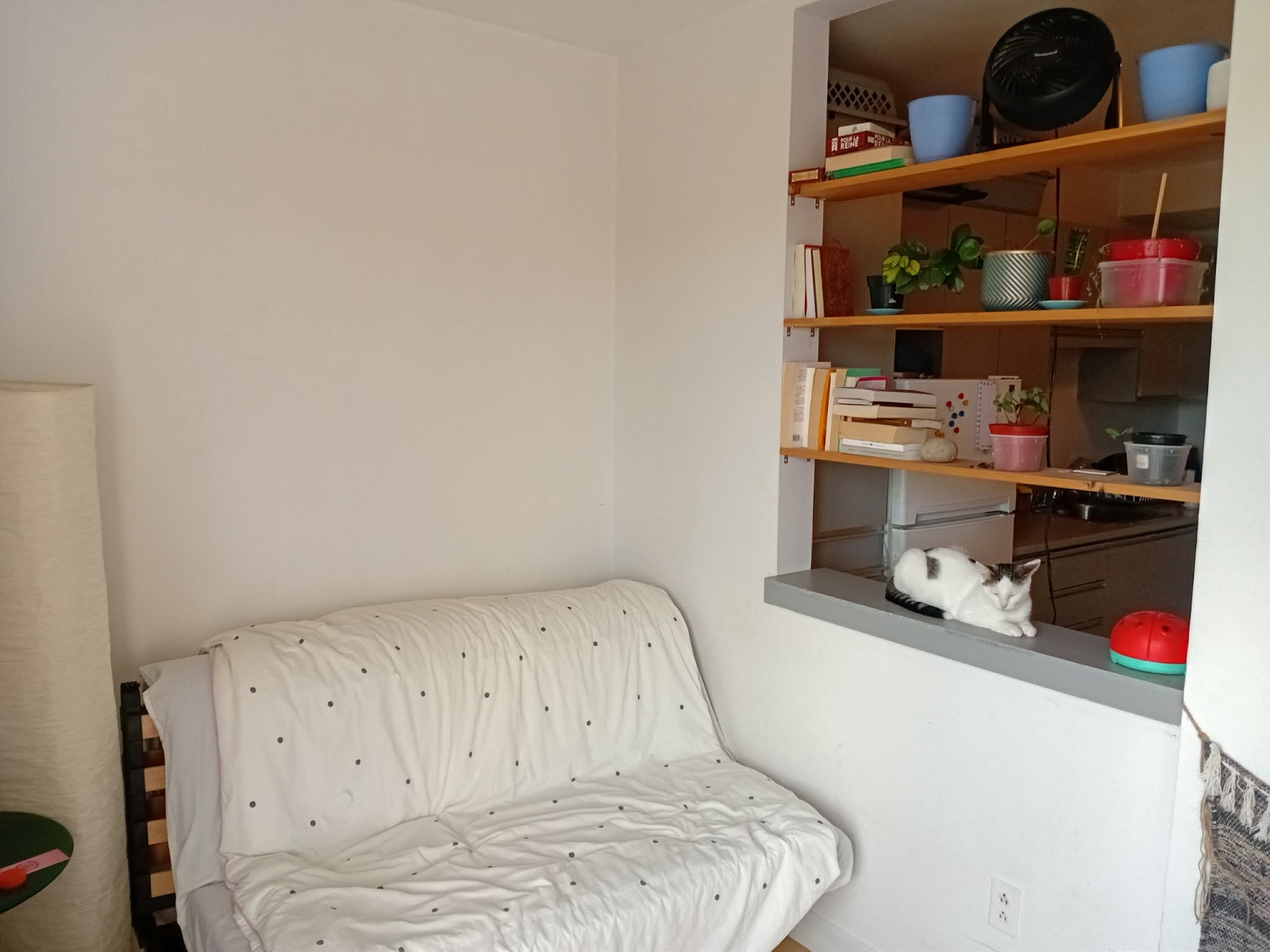Grand studio dans Petite Italie — photo 3