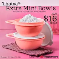 Thatsa Extra Mini Bowls(2)  Tupperware NEW