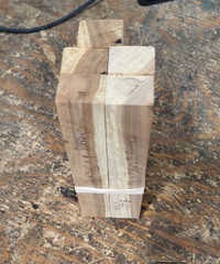 Wood turning blanks (4 local fruit species available!!!!) Winnipeg Manitoba Preview
