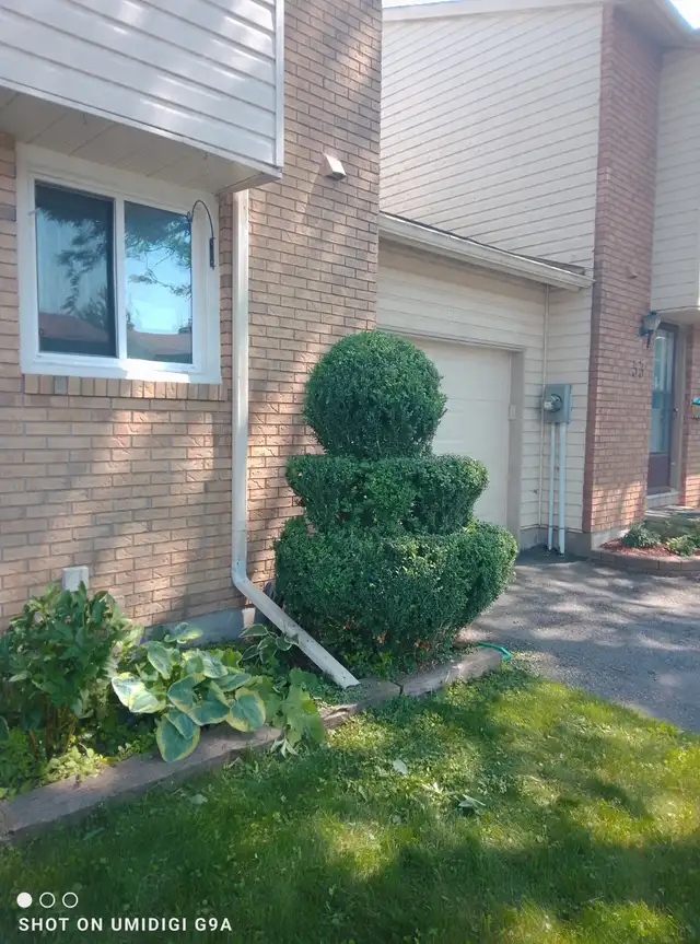Reliable Everyday Handyman – Ottawa62864741723523121