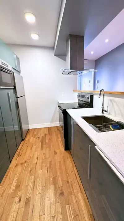 3 chambres Plateau rénové – près McGill / St-Laurent – 1er juin – 2 500$ Appartement semi-meublé ent...