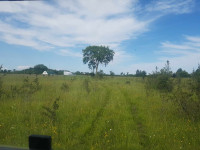 Land for sale in Kingston by owner!  60 acres in the City!