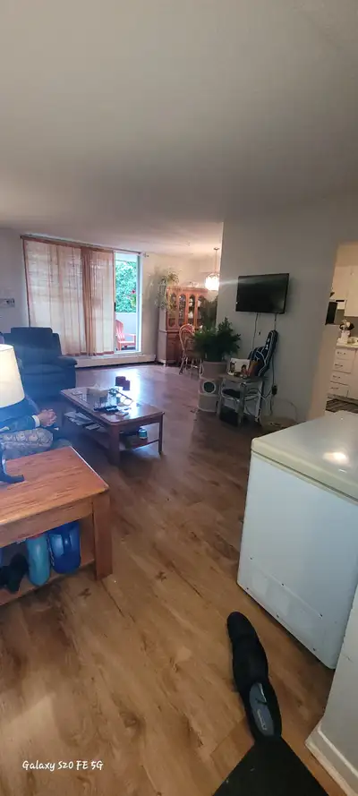 Room for rent