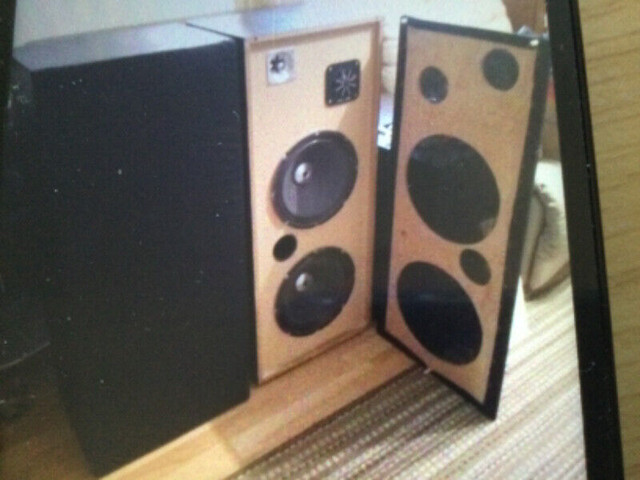 2  Caisses De Son   (  250 Watts chacune ) in Speakers in Québec City - Image 2