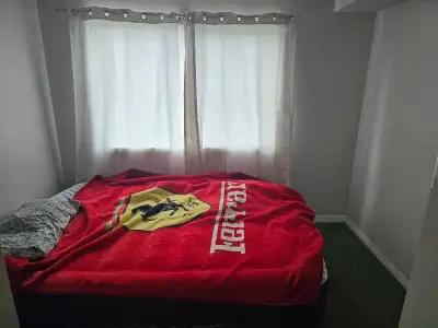 room for rent not far from downtown