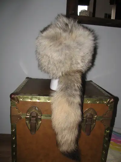 Fur hat for sale, View more