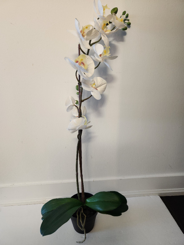IKEA Artificial potted plant, Orchid white in Home Décor & Accents in City of Toronto - Image 3