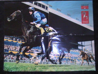 Canadian International Horse Racing Poster (2001)