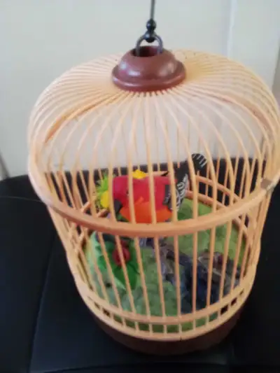 cage à oiseaux chantant piles neuves incluses Vintage WOW !, View more