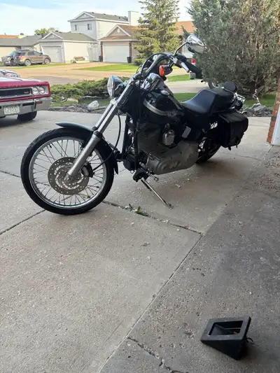 2003 Harley Davidson soft tail standard ftsi 100th anniversary edition, mint condition, fuel injecte...