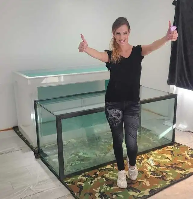 The Experienced Movers64860864545409123